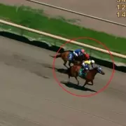Paco Lopez Stuns Fans by Looking Back, Losing Race at Parx