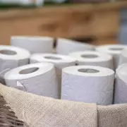 Parents Impose Toilet Paper Quotas as UK Kids Use Over 1 Billion Rolls Annually
