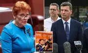 Pauline Hanson Slams Coalition's Angus Taylor Over Budget Reply