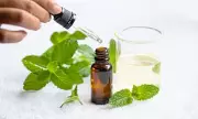Peppermint Oil Shows Promise in Lowering Blood Pressure, Study Finds