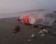 Plastic Bottle Cap Rule: A Parable for EU Regulation's Value