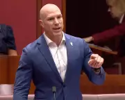 Pocock Says BHP 'Laughing' at Climate Policy Over Leaked Doc