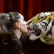 Police shoot escaped tiger dead after attack in Leipzig