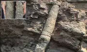 Polystrate Fossils Spark Debate Over Biblical Great Flood Evidence