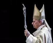 Pope Leo XIV: Wise but Not Infallible, Says Vatican Expert