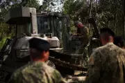 Portugal Deploys Army to Clear Storm Debris Ahead of Wildfire Season