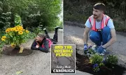 Pothole Vigilante Landscaper Defies Council, Keeps Planting Flowers