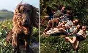 Prince and Princess of Wales Name New Puppy Otto on First Birthday