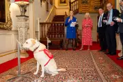 Queen Camilla Says Clarence House Is 'Second Home' for Cancer-Detecting Dogs