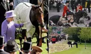 Queen Elizabeth II's Passion for Horses: A 70-Year Legacy of Equestrian Excellence
