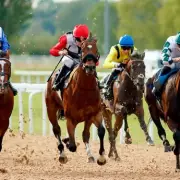 Racehorse Escapes Track, Gallops Into Town After Dumping Jockey