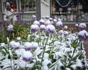 Rare Spring Snowstorm Blankets Colorado in May