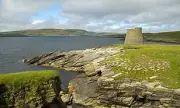 Rat Threatens Seabird Colony on Shetland's Mousa Island