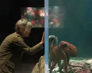 Remarkably Bright Creatures Review: Sally Field Bonds with Octopus in Gentle Netflix Film
