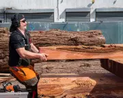 Rescuing London's building materials: a new hub for circular construction