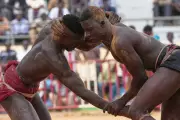 Rituals and Fights Share Spotlight in Senegal's Wrestling Arenas