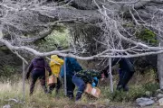 Rodent Hunt in Argentina to Trace Deadly Hantavirus Outbreak Source