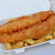 Rogue Chip Shops Sell Catfish as 'Traditional Fish and Chips' to Cut Costs