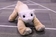 Roomba Pioneer Colin Angle Unveils AI-Powered Pet Robot Familiar