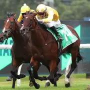 Royal Ascot Hopeful Lady Of Camelot Out After Stingray Attack