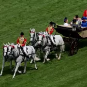 Royal Ascot Procession Faces Threat from Equine Flu Surge