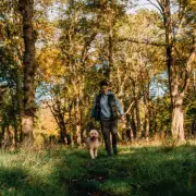 RSPCA Warns Dog Owners About Ticks Ahead of Bank Holiday Heatwave