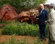 Sarah Eberle Wins Top Prize at Chelsea Flower Show with Tree Carving Garden
