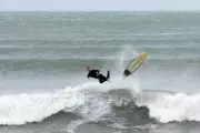 Sea Creature Attack Halts New Zealand Surfing Contest