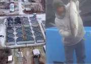 Seafood Giant Accused of Systematic Abuse in Fish Farming Operations