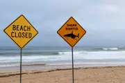 Second Fatal Shark Attack in Two Weeks Strikes Australia's Queensland Coast