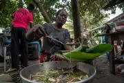 Severe Hunger Crisis Worsens in DR Congo's Megacity Kinshasa