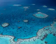 Shark Attack Claims Man's Life on Great Barrier Reef in Queensland