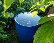 Should We Stop Watering Gardens Amid Hose Bans and Water Crisis?