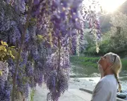 Signs You've Become a Grownup: From Wisteria to Laundry Obsession