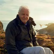 Sir David Attenborough: A Lifetime of Natural History and Television