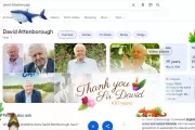 Sir David Attenborough Turns 100: Google Doodle Celebrates Icon