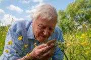 Sir David Attenborough Turns 100: National Treasure Celebrated Globally