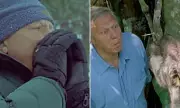 Sir David Attenborough's Most Memorable TV Moments on His 100th Birthday
