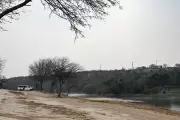 Six Found Dead in Texas Train Boxcar Near Mexico Border