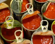 Spag Bol Taste Test: Guardian's Five Great Reads This Week