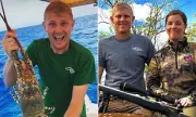 Spearfisher Michael Jensz Identified in Fatal Shark Attack Off Far North Queensland Coast