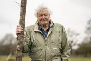 Species Named After Attenborough: From Dinosaurs to Butterflies