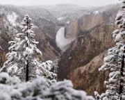 Spring Snow and Record-Breaking Melons: Photos of the Day
