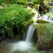St Nectan's Kieve: UK's Most Spiritual Waterfall in Cornwall