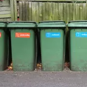 Stop Flies Laying Eggs in Your Wheelie Bin with One Simple Item