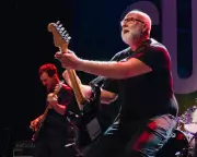Sugar Review: Bob Mould's Reunited Band Still Balances Noise and Melody