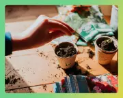Sustainable Plant Shopping: Tips for an Eco-Friendly Garden This Spring