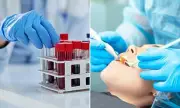 Sydney dentist patients urged to test for HIV, hepatitis