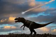 T. rex's Tiny Arms Explained: Head Took Over Hunting Role