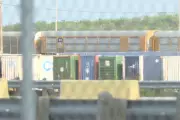 Teen Among Six Migrants Found Dead in Texas Shipping Container